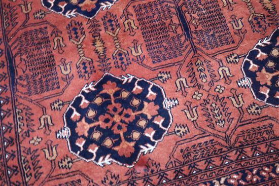 A red ground Bokhara rug 340cm x 240cm